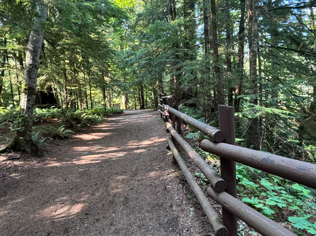 Elk Falls Suspension Bridge-坎贝尔里弗必去景点