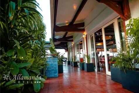 Allamanda Hotel-旅行者