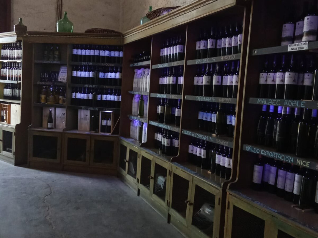 Bodega Familia Cecchin-Maipu必去景点