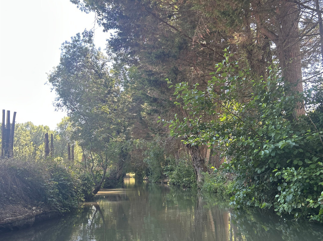Embarcadere Cardinaud - Marais poitevin-Nouvelle-Aquitaine必去景点