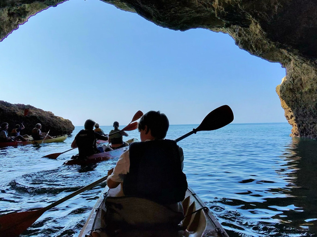 Treasure Tours-Porches必去景点