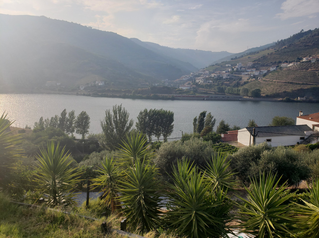 Quinta Da Azenha