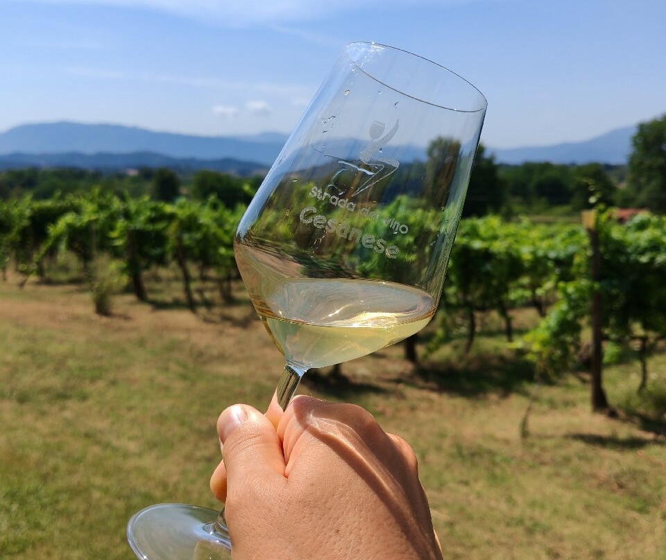 Azienda Vitivinicola Pileum-Piglio必去景点