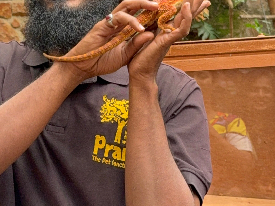 Prani, The Pet Sanctuary-班加罗尔必去景点