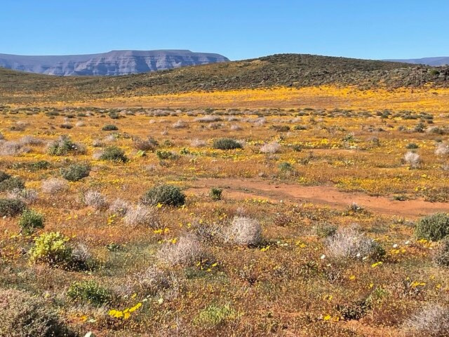 Tankwa Karoo National Park-Calvinia必去景点