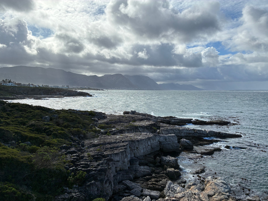 Hermanus Cliff Path-赫曼努斯必去景点