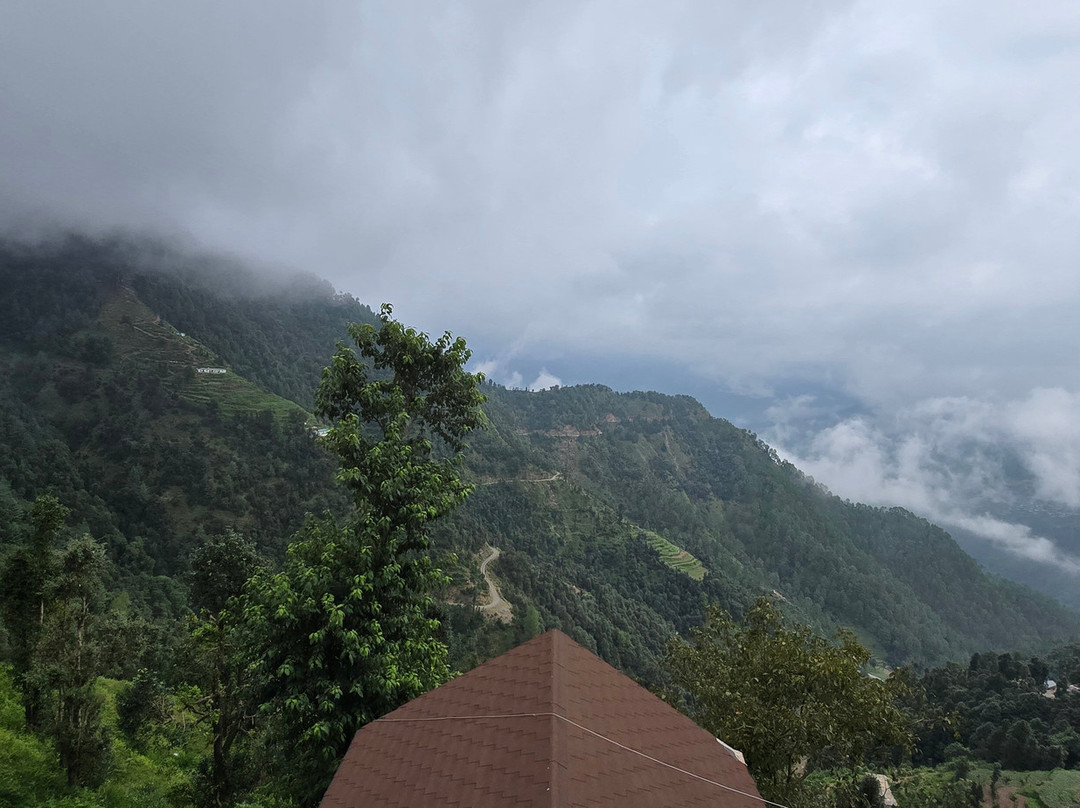 The Devan Wood Resort