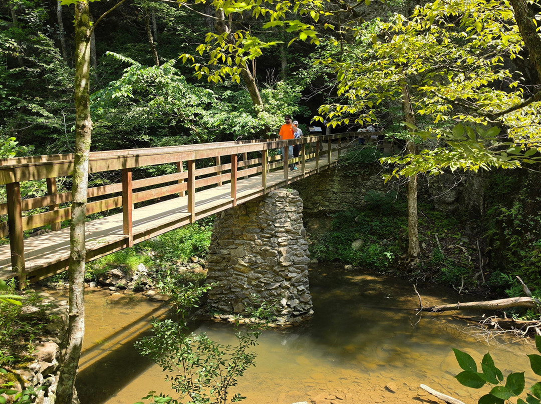 Natural Bridge State Park-天然桥必去景点