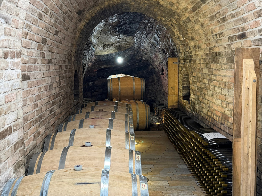 Cantine Bocchino - Azienda Agricola Bocchino Giuseppe di Bocchino Annalisa-Canelli必去景点