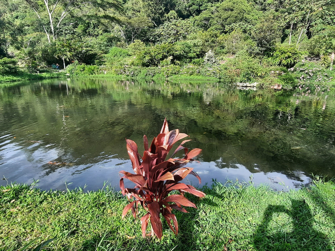 Parque Biblioteca de Boquete