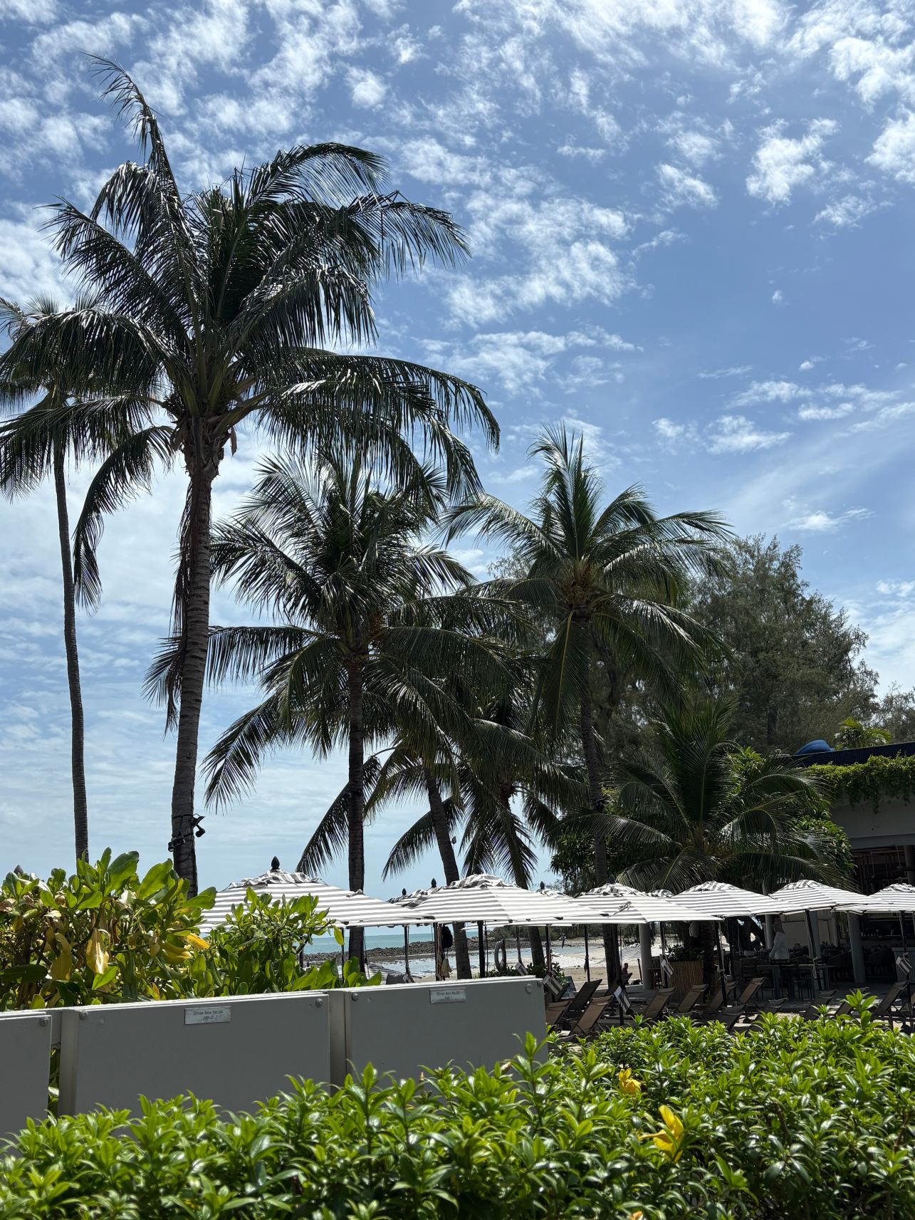 苏梅岛美利亚酒店-旅行者