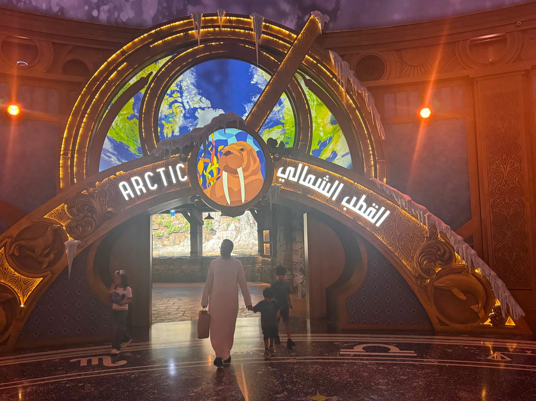 SeaWorld Yas Island Abu Dhabi-阿布扎比必去景点