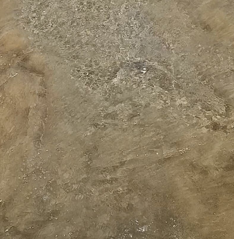 Spiaggia di Scialmarino-维耶斯泰必去景点