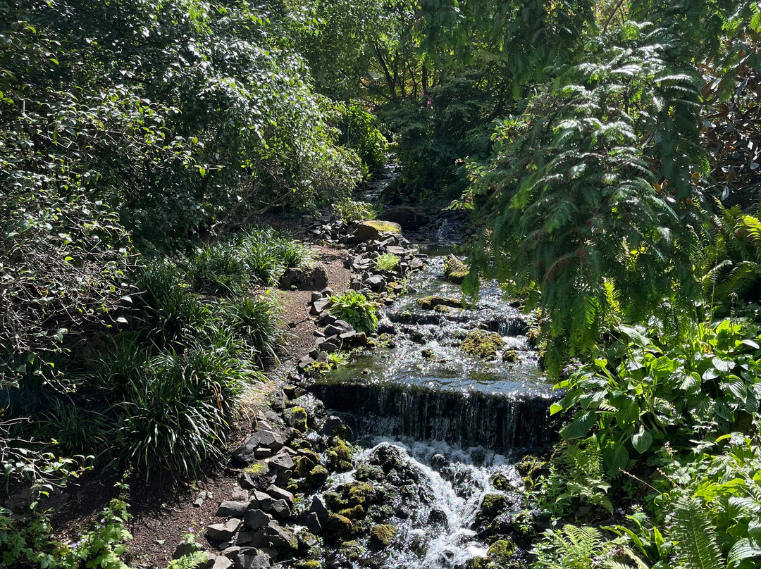 爱丁堡皇家植物园-爱丁堡必去景点