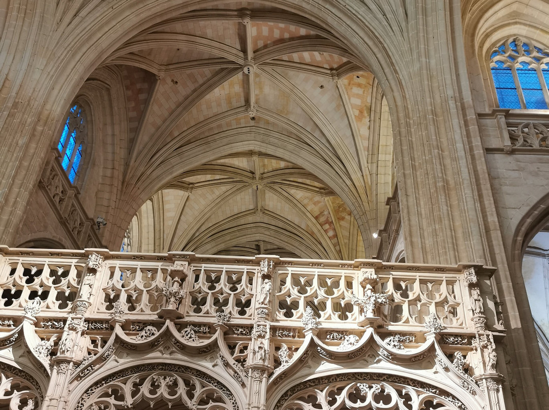 Bourg-en-Bresse Destinations - Office de tourisme-布雷斯地区布尔格必去景点