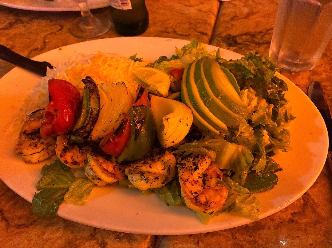 Panini Kabob Grill