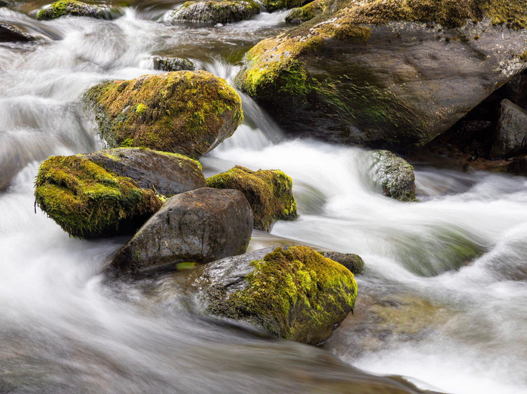 Image Seen Photography Workshops-百老汇必去景点