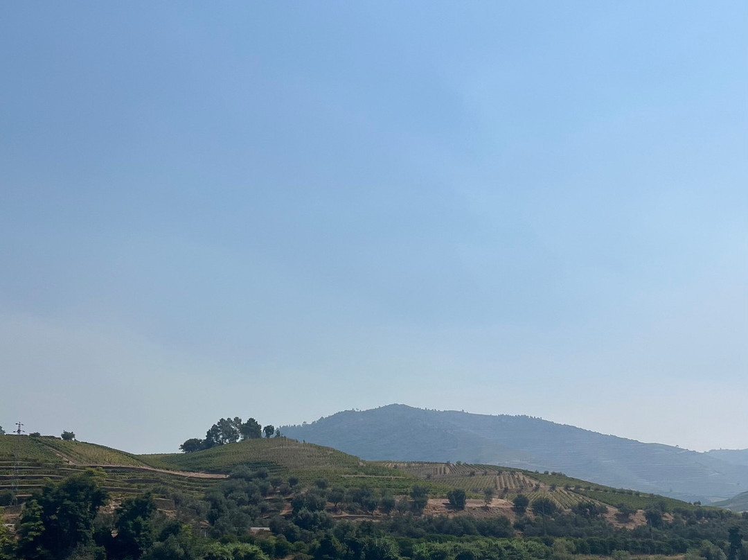 Douro Tours-Pinhao必去景点