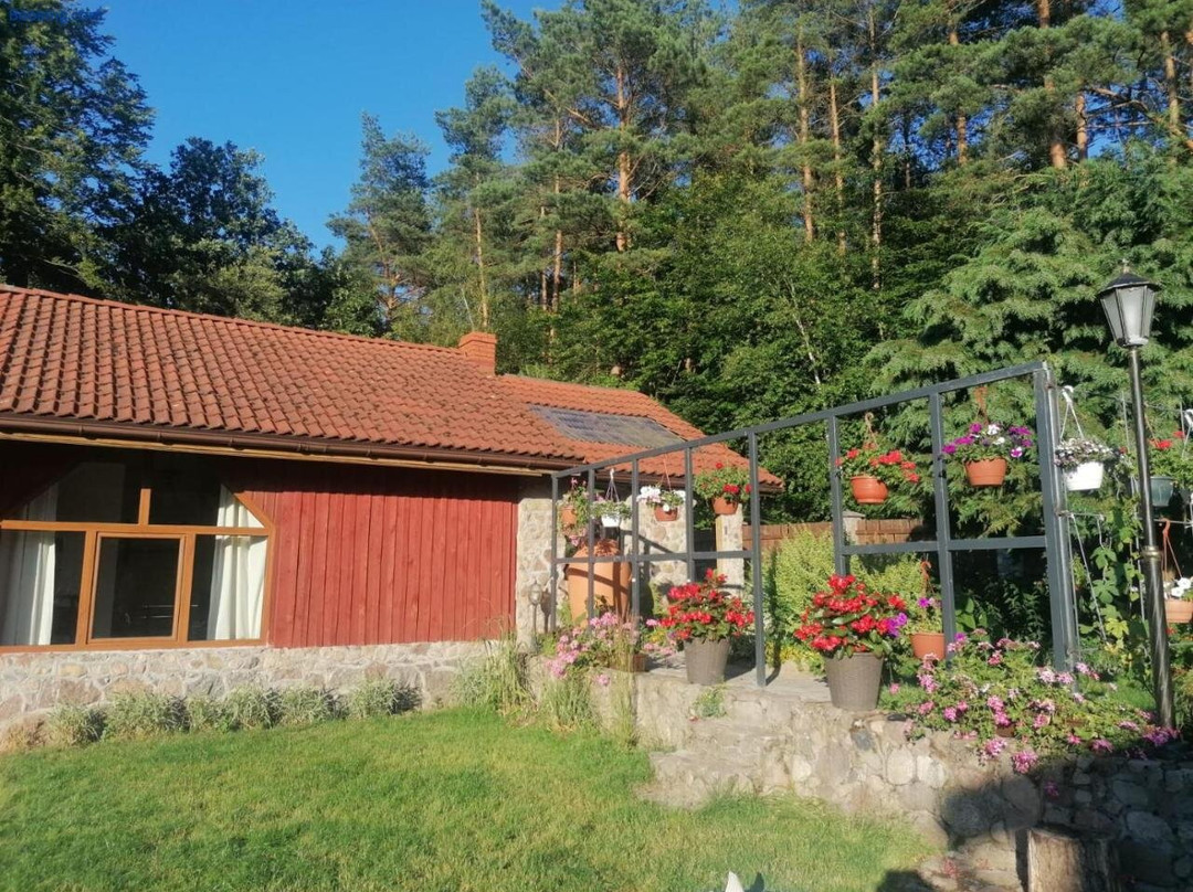 Silnowo Kwietny Raj