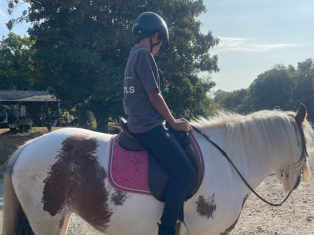 Penycoed Riding Stables-Pant必去景点