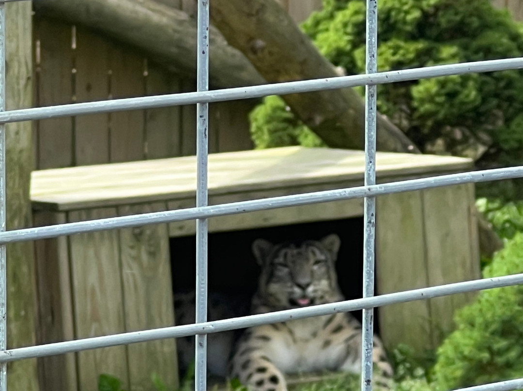 Animal Adventure Park-Harpursville必去景点