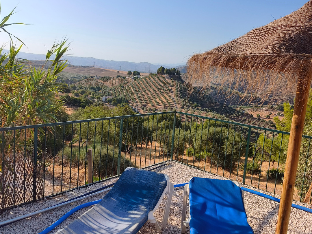 Olive Branch El Chorro主图