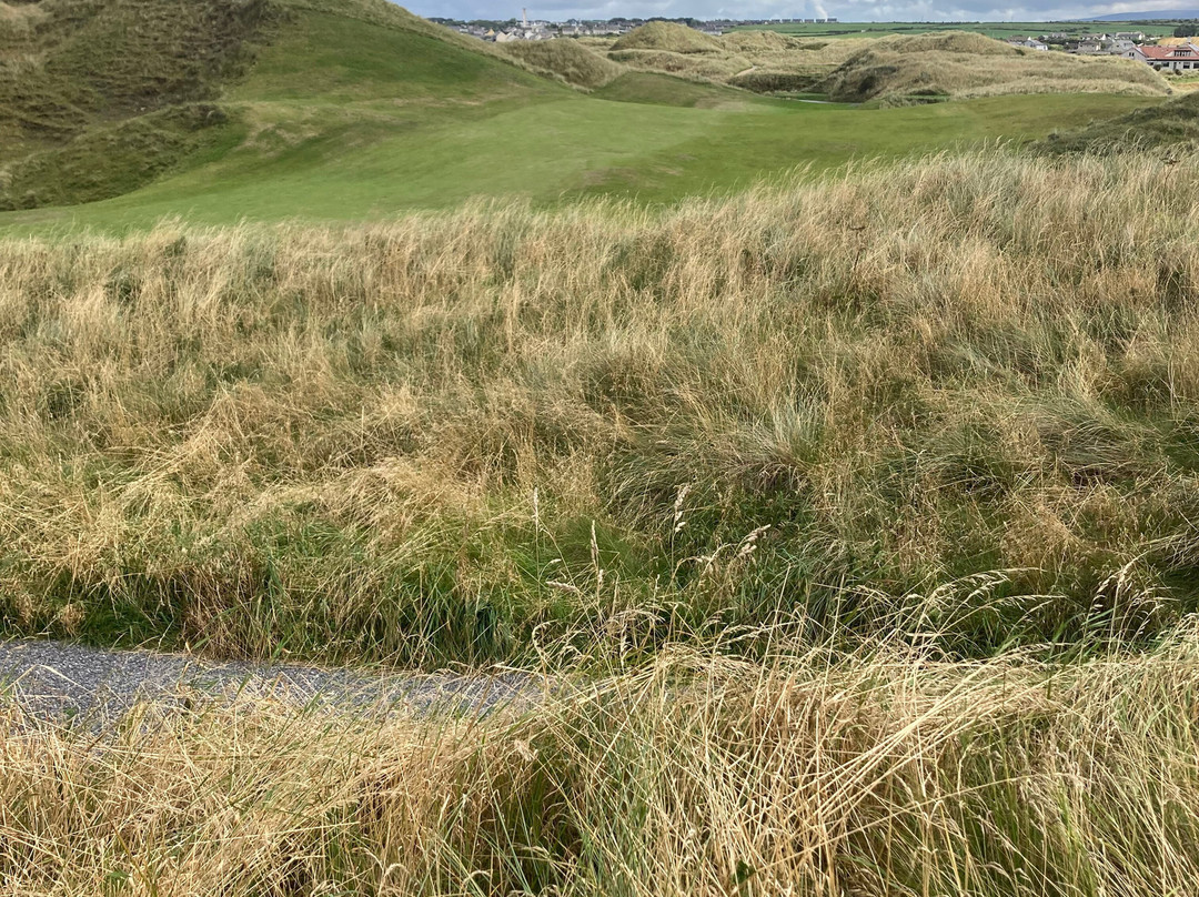 Enniscrone Golf Club-Enniscrone必去景点