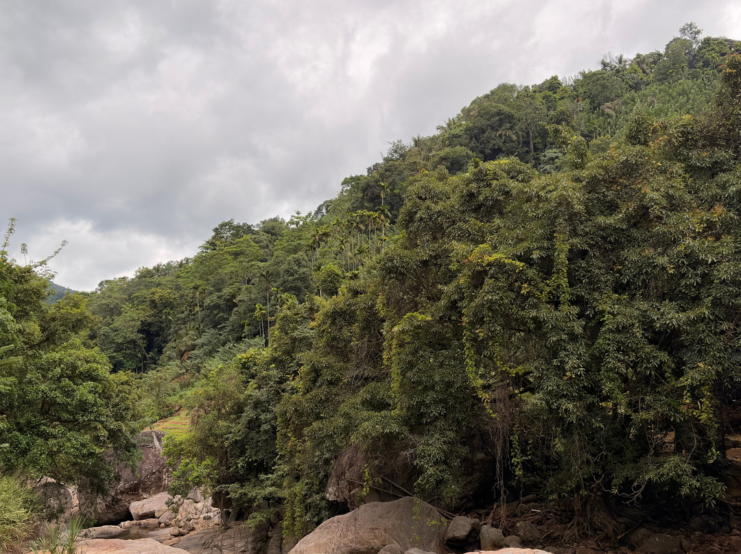 Kandy Trekking Tours-康提必去景点