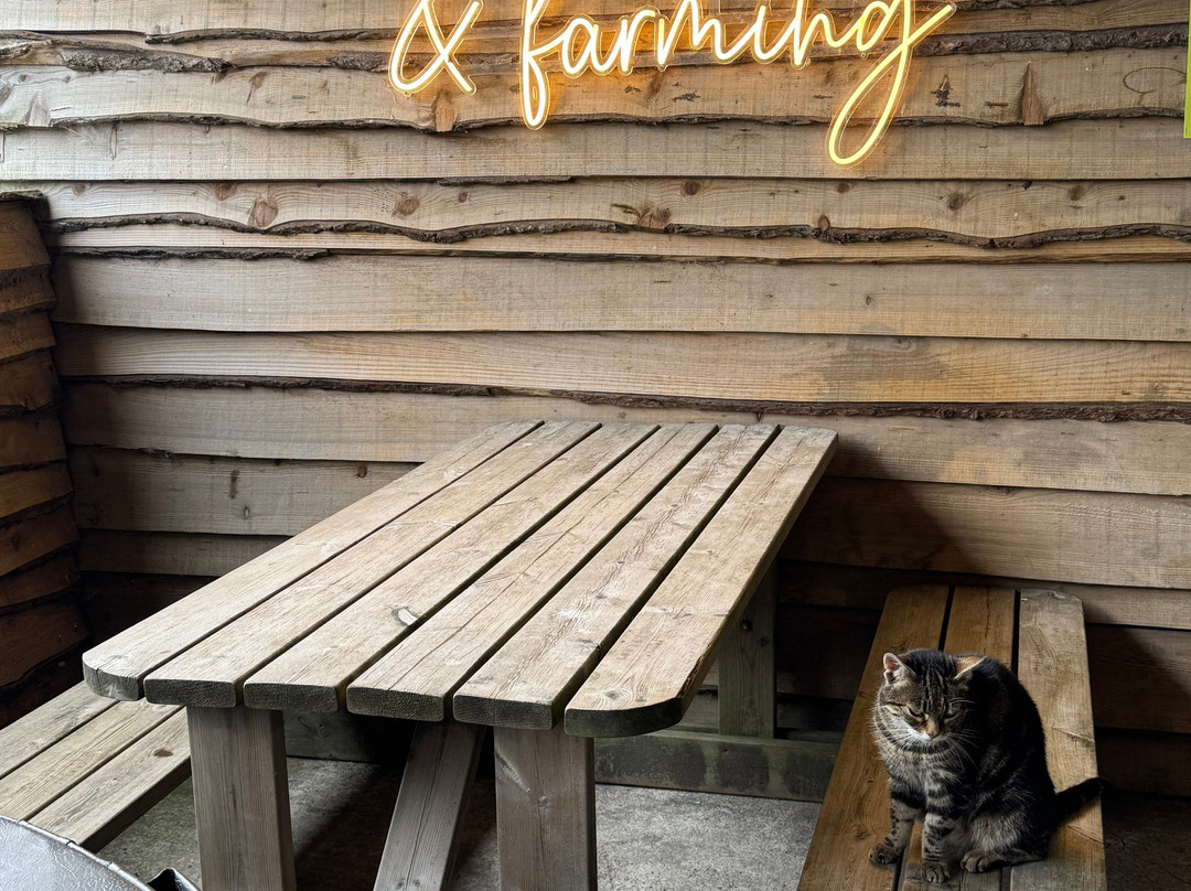 Farm Adventure Yorkshire-马沙姆必去景点