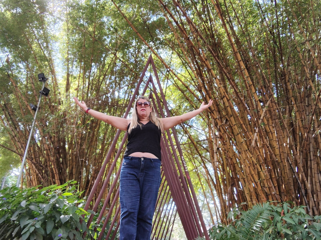 Americo Renee Giannetti Municipal Park-贝洛哈里桑塔必去景点