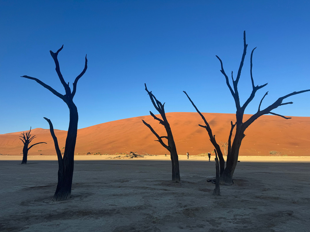 Deadvlei-苏丝斯黎必去景点
