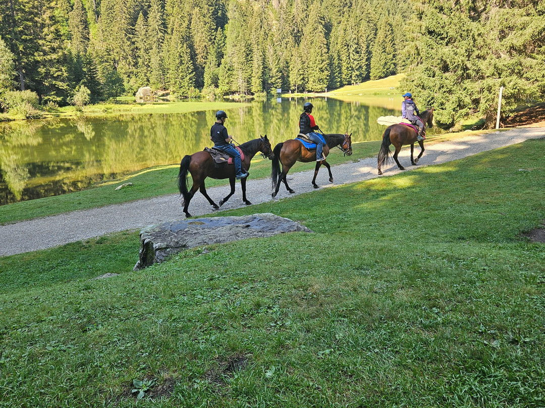 Lago dei Caprioli-Pellizzano必去景点