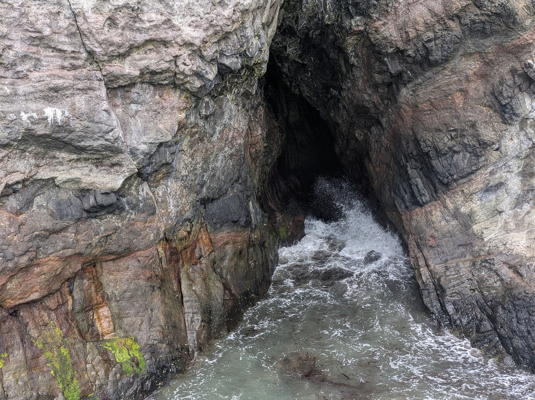 The Gobbins Cliff Path-Larne必去景点