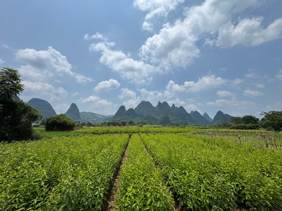 阳朔古迹山水园-阳朔县必去景点