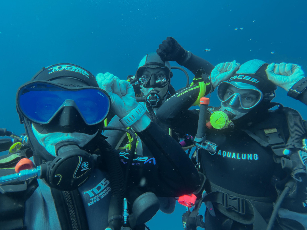 SAFARI, DRIVE & DIVE TOURS-Inhambane必去景点