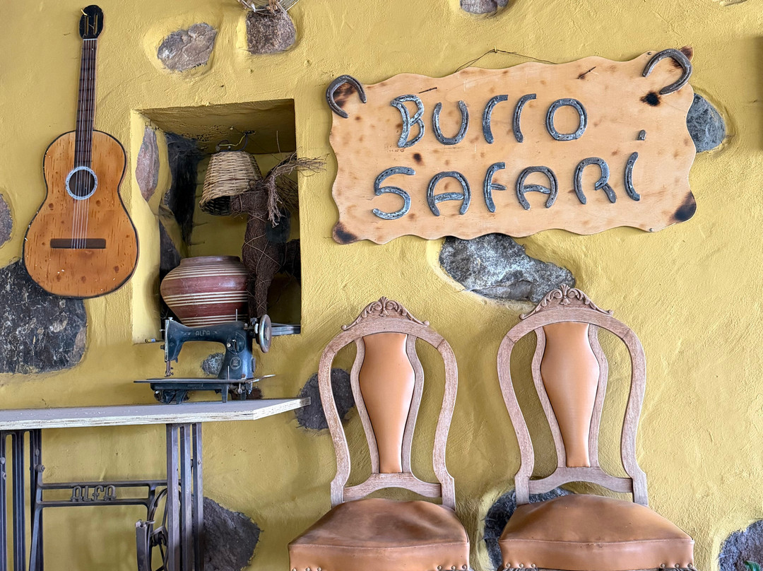 Burro Safari Las Tirajanas-大加那利岛拉斯帕尔马斯必去景点