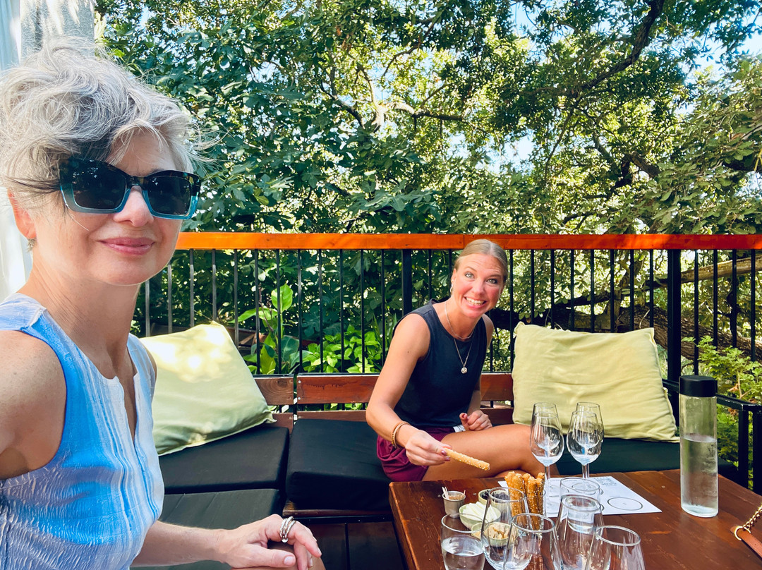 Hadjicharalambous Boutique Winery