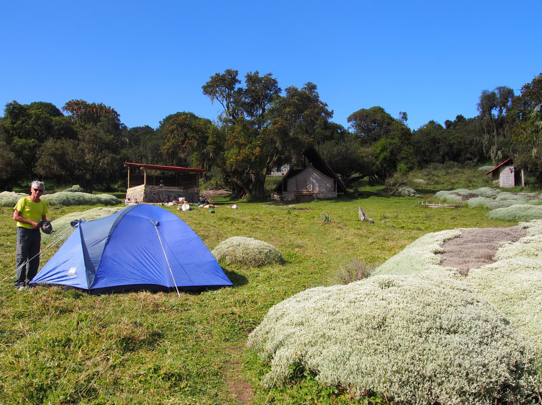 Bale Mountains Trekking Tours Ethiopia-Bale Robe必去景点