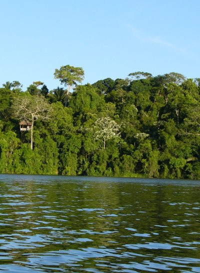 Lago Sandoval-Tambopata National Reserve必去景点