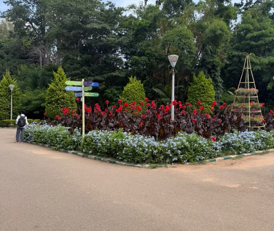 Lalbagh Botanical Garden-班加罗尔必去景点