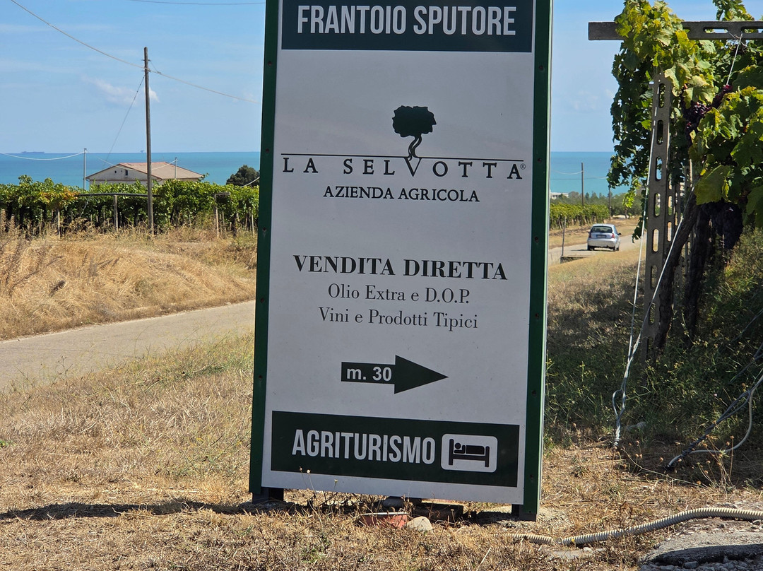 Azienda Agricola La Selvotta