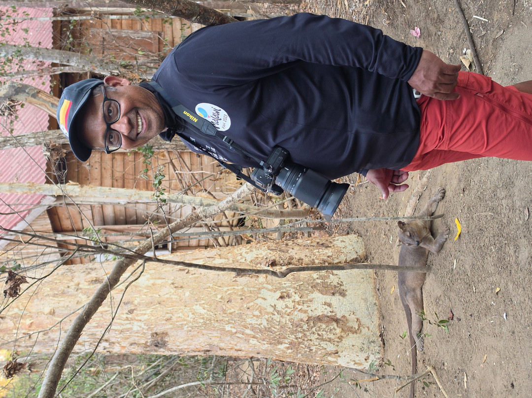 Kirindy Forest Morondava Madagascar-Morondava必去景点