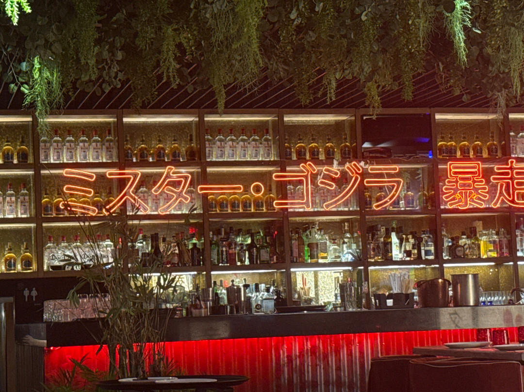 Sr. Godzilla - Coyoacán