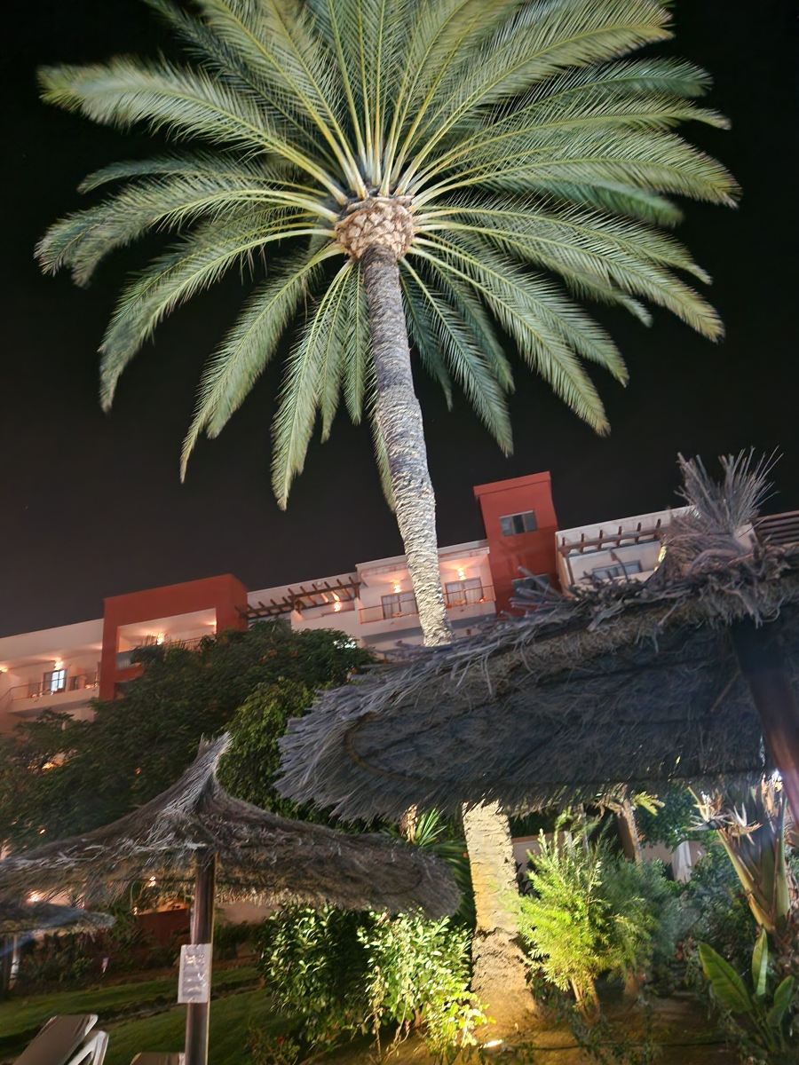 厄尔巴卡洛塔海滩度假酒店&会议中心-旅行者