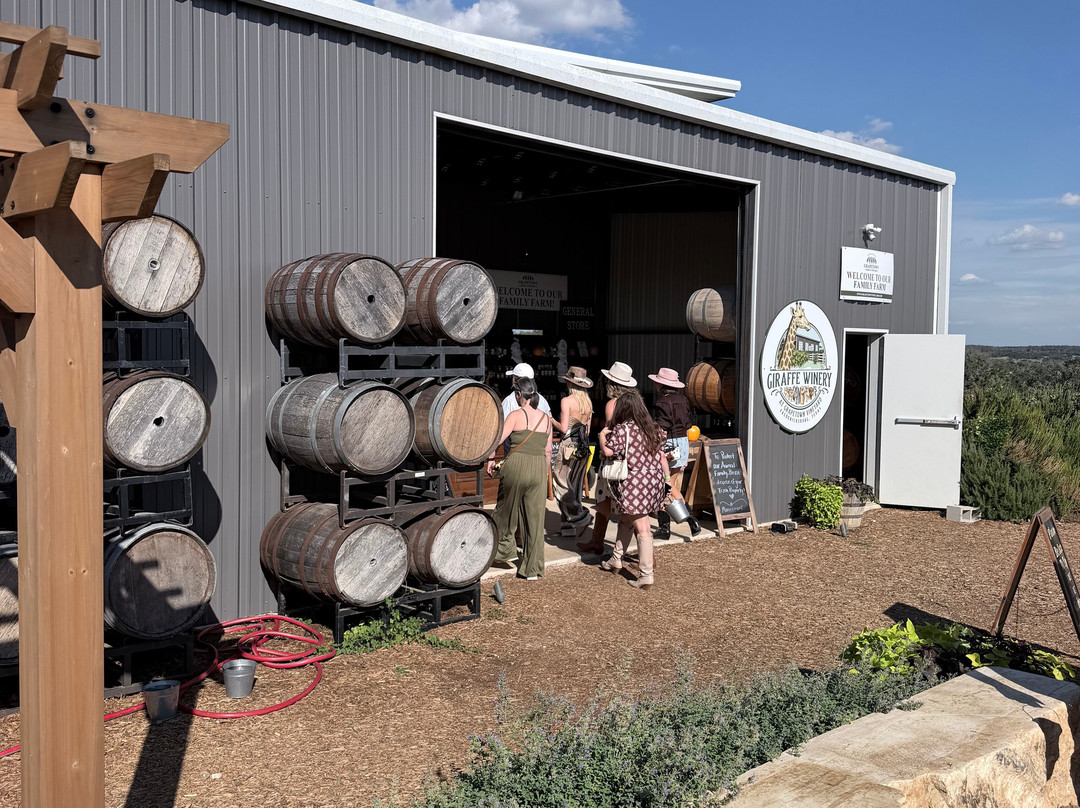 Giraffe Winery at Grapetown Vineyard-弗雷德里克斯堡必去景点