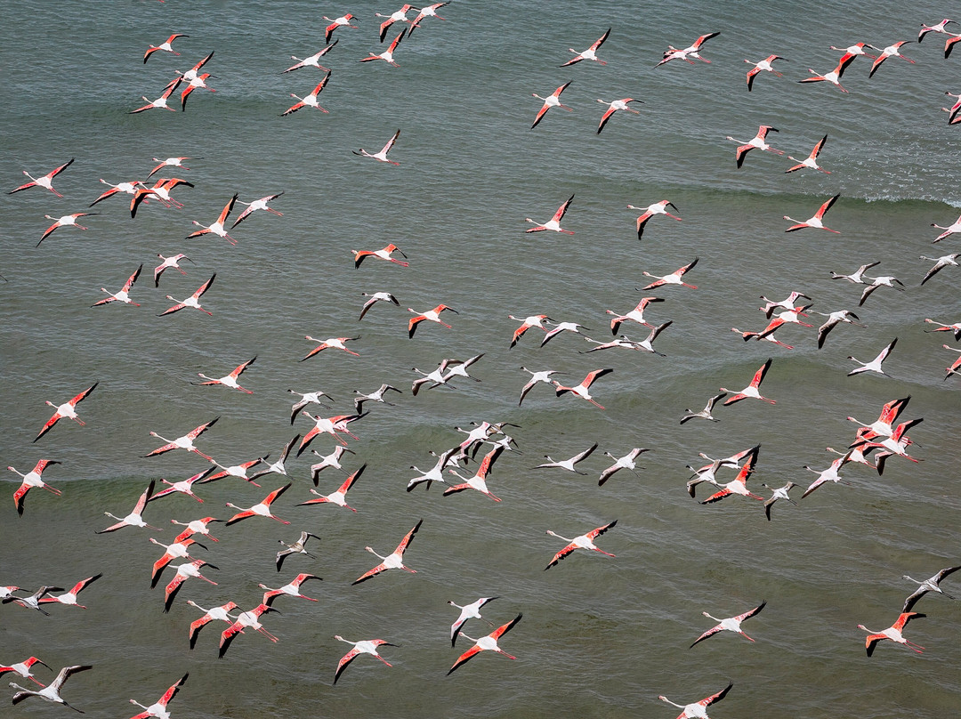 Iona National Park-Namibe必去景点
