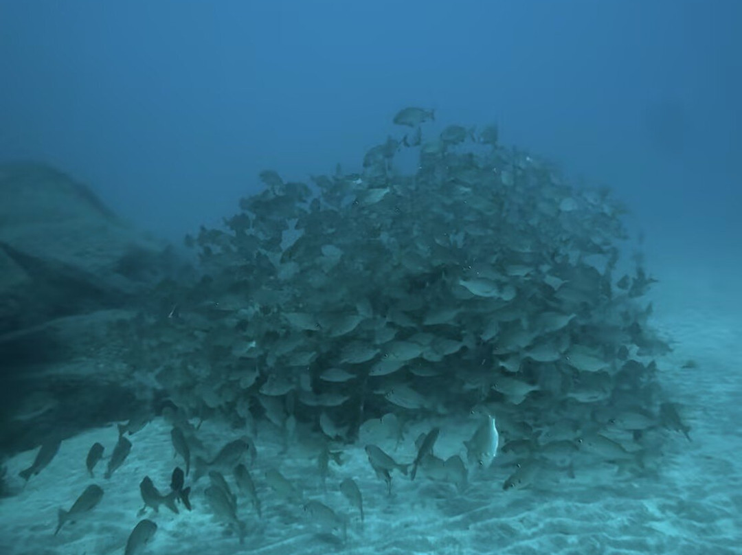 Soul Scuba Divers-Kri Island必去景点