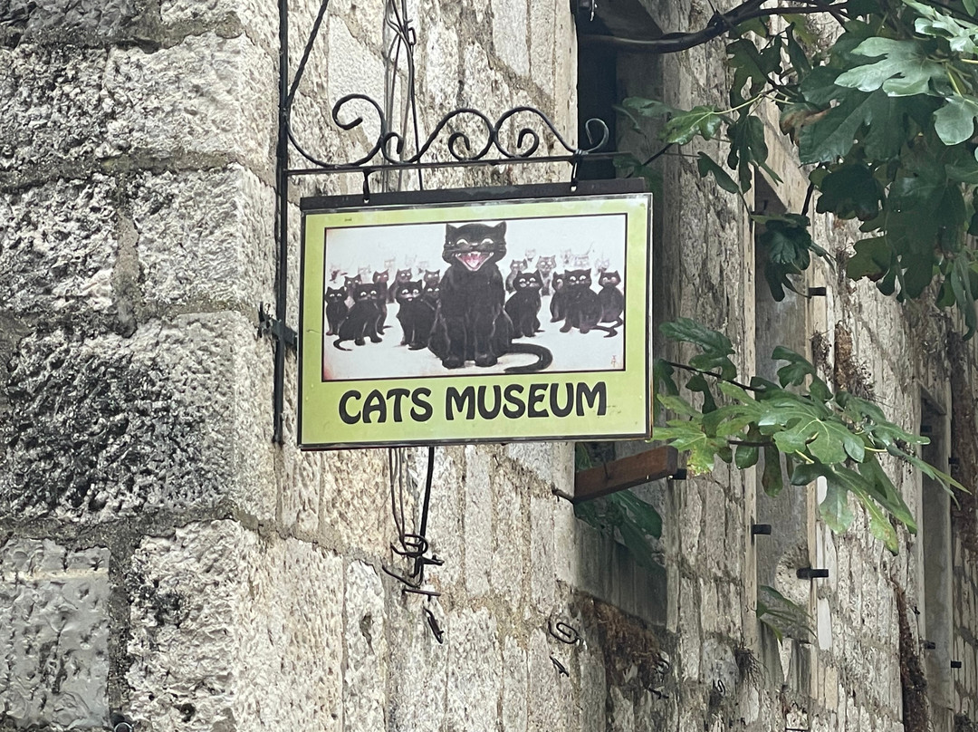 Cats Museum-科托尔必去景点