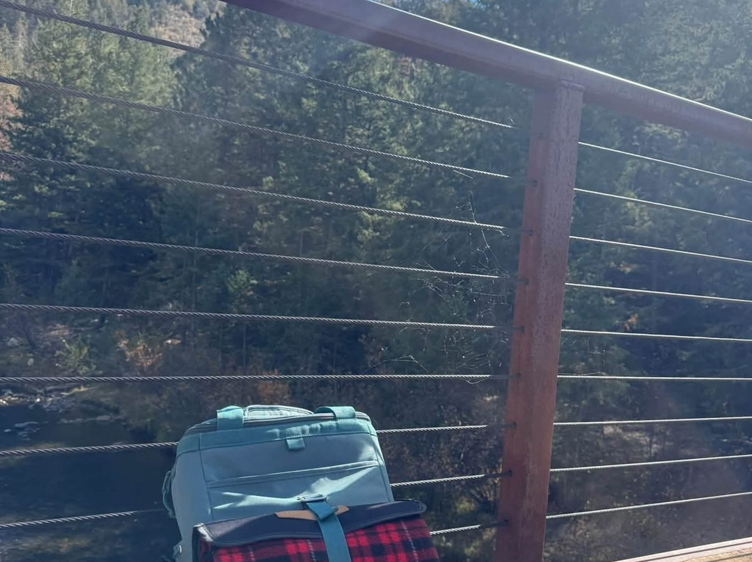 杜松旅馆和树屋主图