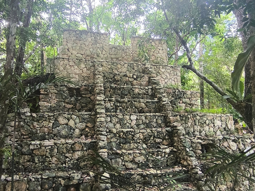 Cenote Maya Muyil-图伦必去景点